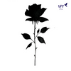 Tatouage temporaire - Rose noir | LPT-Paris®
